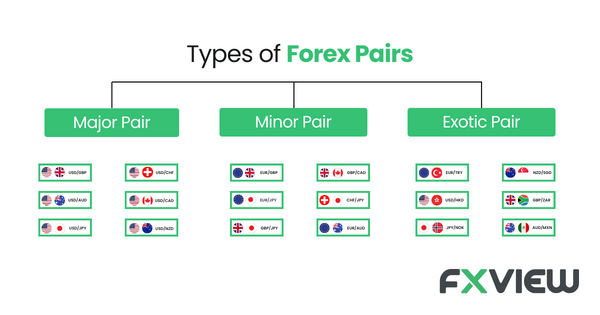 Forex currencies can be categorized into three types: major, like EUR and USD; minor, which exclude the USD and include pairs such as EUR/GBP; and exotic, involving a major currency paired with a less common one, like USD/TRY or EUR/THB, known for their higher volatility and less frequent trading.